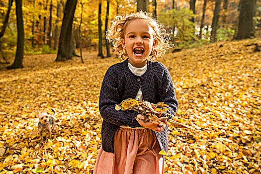 小女孩,树林,玩,秋叶