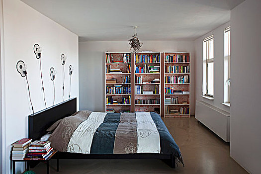 睡觉,区域,设计师,墙壁,灯,书架
