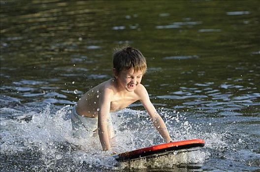 男孩,趴板,自然,湖,水,策勒,下萨克森,德国