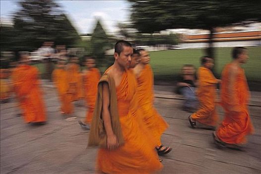 僧侣,佛教,庙宇,曼谷,泰国,亚洲