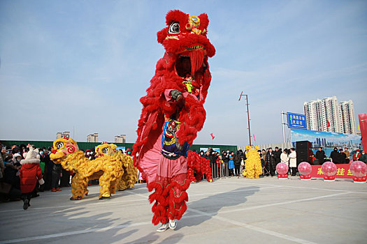 年货大集上醒狮欢腾,市民争相观看抚摸图个好彩头