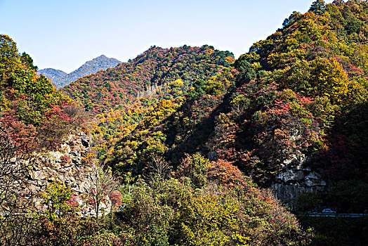 秦岭秋色