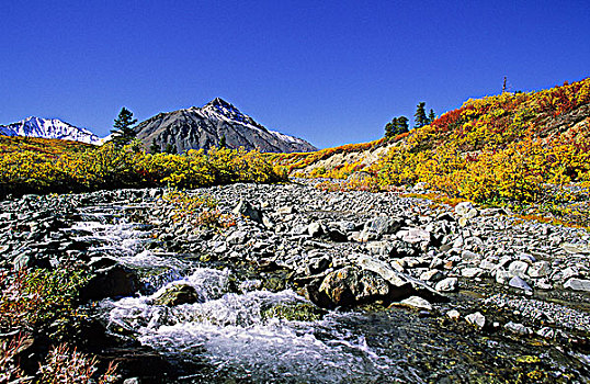 高山,苔原,秋色,下方,攀升,克卢恩国家公园,育空地区,加拿大