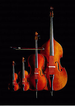 中提琴,小提琴,大提琴,低音乐器