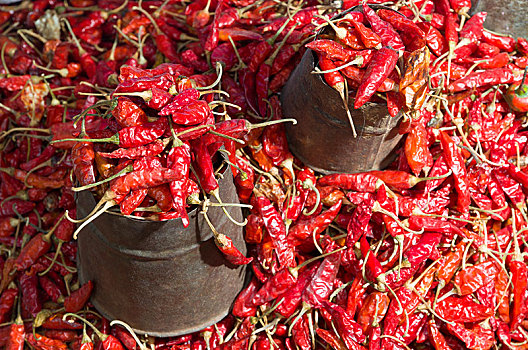 红辣椒,展示,出售,加德满都,地区,尼泊尔,亚洲
