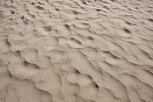 沙子,湾,许多,新西兰