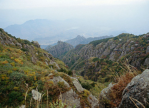 泰山,一个,五个,神圣,山