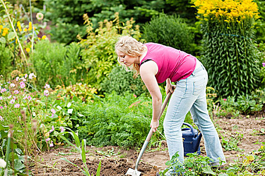 女人,园丁,挖,土地,春天,锹,花园,就绪