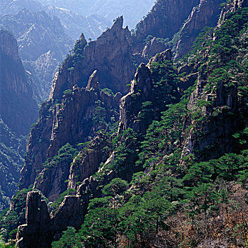 黄山山峰石笋地脉