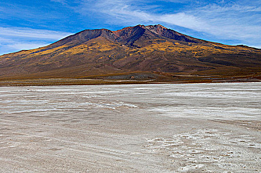 玻利维亚,盐湖,乌尤尼,盐