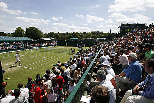 英格兰,伦敦,温布尔登,球场,网球,冠军,2008年