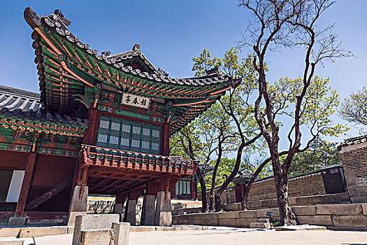 昌德宫,宫殿,大,公园,钟路区,首尔,韩国