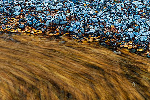 抽象,河,秋叶,岩石,岸边,多夫勒国家公园,挪威,九月