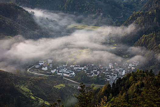 石潭,云海,安徽,山沟,油菜花,风光,壮观,气候,环境,仙境,诱惑,秀美,俯瞰,村庄