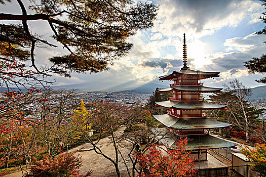 山,富士山,秋色,日本