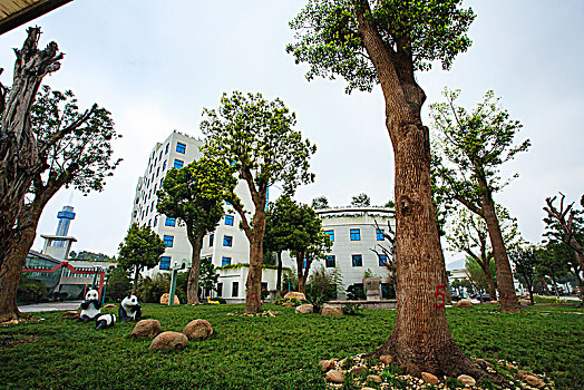 宁波,金田集团,企业