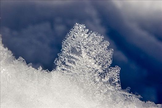 雪