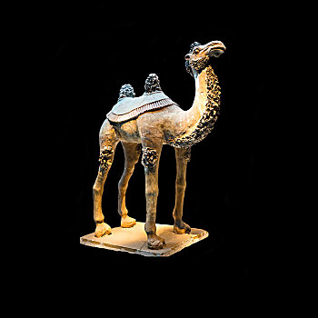 彩绘骆驼