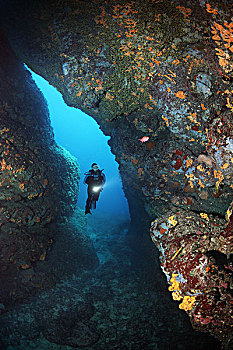 潜水,灯,岩石,洞穴,海绵,日落,杯子,珊瑚,科孚岛,爱奥尼亚群岛,地中海,希腊,欧洲