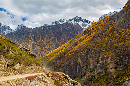 汽车风景