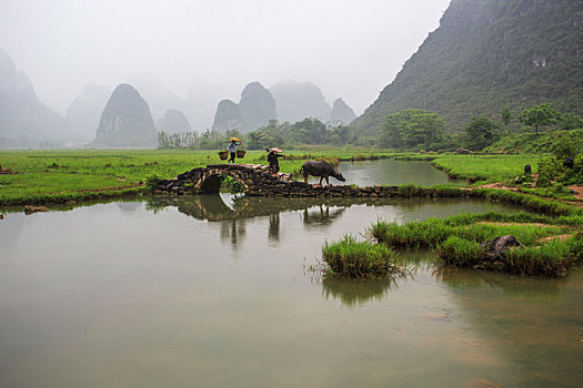 烟雨桂北农家忙