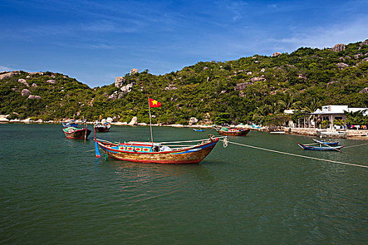 海岸线,彩色,渔船,宁顺,越南,亚洲