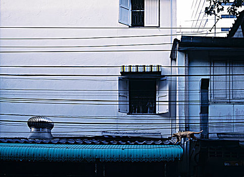 房子,曼谷