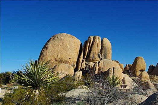 岩石构造,丝兰,约书亚树国家公园,加利福尼亚