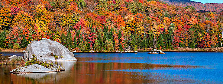 秋天,反射,海狸塘,西部,魁北克,加拿大