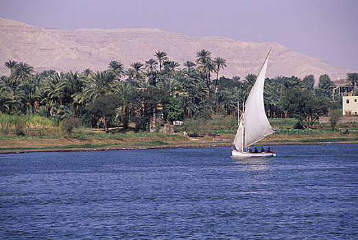 埃及,尼罗河,路克索神庙,三桅帆船