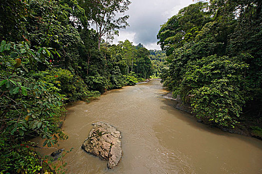 河,丹侬谷,马来西亚