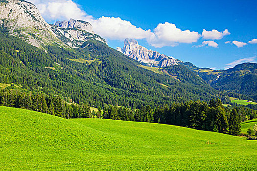 风景,高处,萨尔茨堡州,奥地利