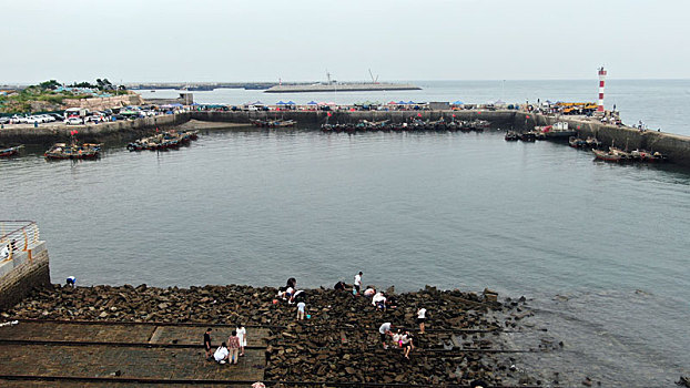 渔码头成了网红打卡地,游客赶海拾贝采购海鲜就像赶大集