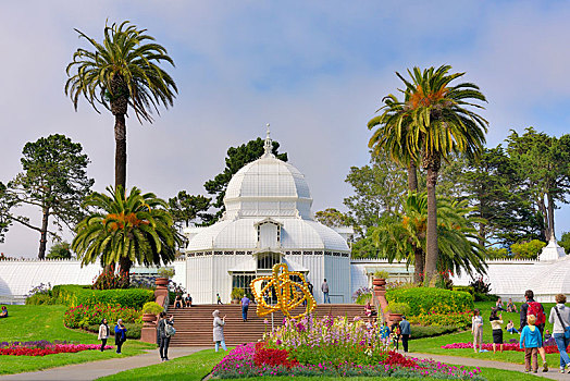 温室,花,金门公园,旧金山,加利福尼亚,美国,北美