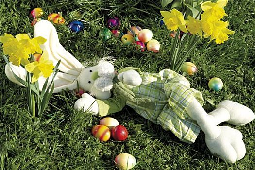 复活节兔子,放入,花,草地,水仙花,休息