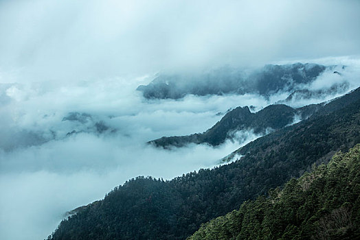 神农架,神农顶,风景,景点,旅游,高山,瀑布,河流,神秘,树木,植被,石头,鄂西,云海,峡谷,壮观