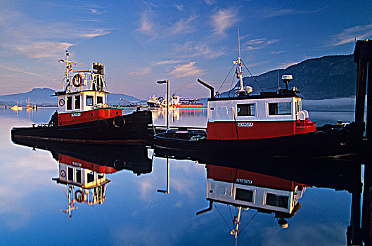拉拽,船,湾,日出,温哥华岛,不列颠哥伦比亚省,加拿大