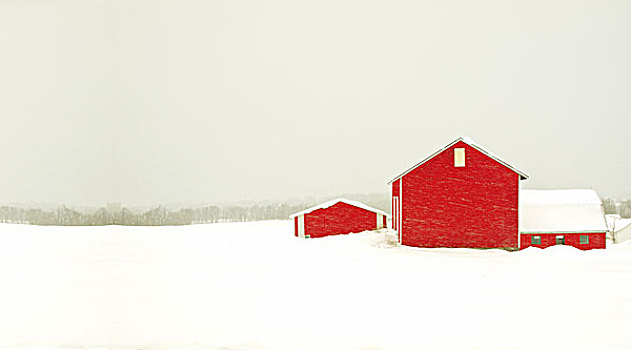 红色,谷仓,暴风雪