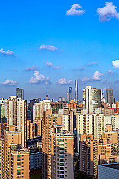 远眺上海城市风光