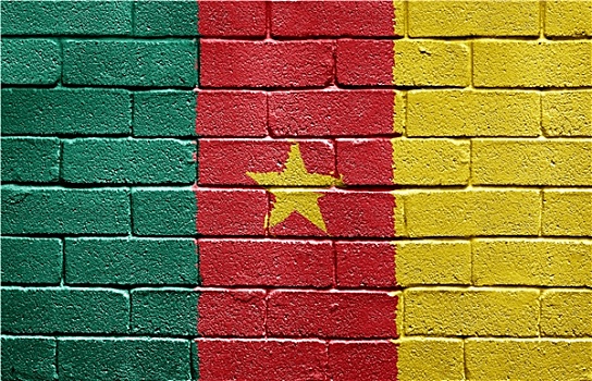 旗帜,喀麦隆,涂绘,低劣,砖墙