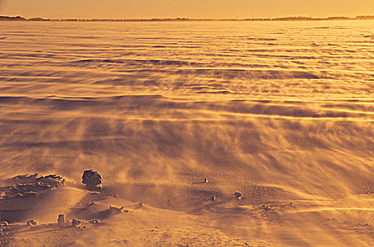 雪,吹,上方,农民,土地,靠近,曼尼托巴,加拿大