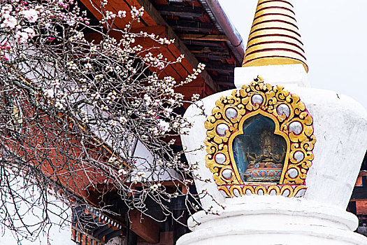 不丹-帕罗祈楚寺