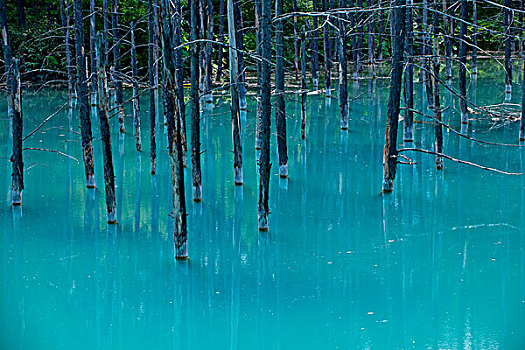 蓝色,水塘,温泉