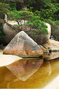 浅滩,威尔逊-普勒蒙特利国家公园,维多利亚,澳大利亚