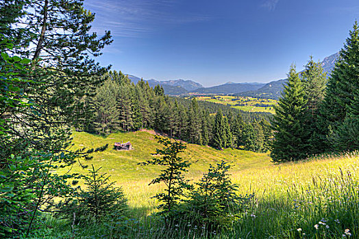 风景,靠近,米滕瓦尔德,夏天,巴伐利亚,上巴伐利亚,德国