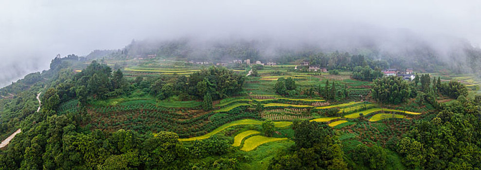 重庆农村,晨雾缭绕胜似仙境