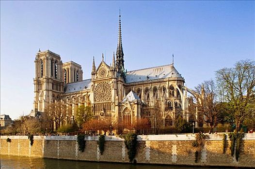 巴黎圣母院,大教堂,巴黎,法国