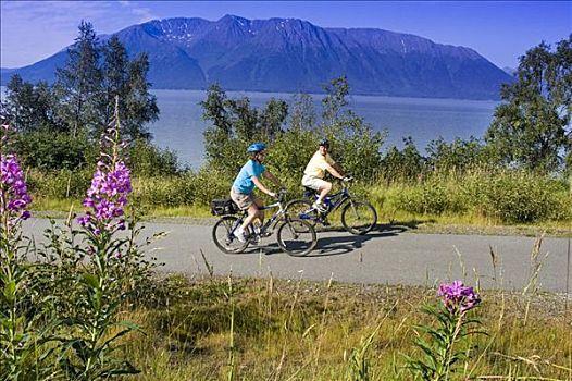 伴侣,骑,自行车,一起,沿岸,小路,靠近,阿拉斯加,特纳甘湾,夏天