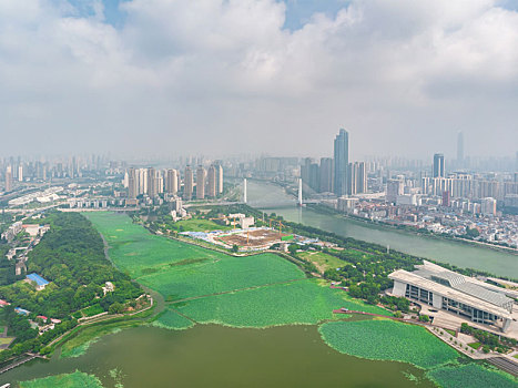 武汉,夏日,城市,航拍,迷人,风光