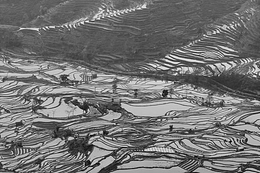 哀牢山哈尼梯田风光